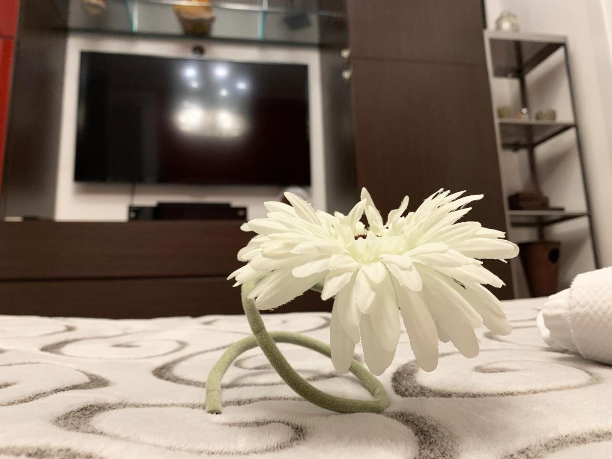 Bed and Breakfast Sansiro47 à Milan Extérieur photo